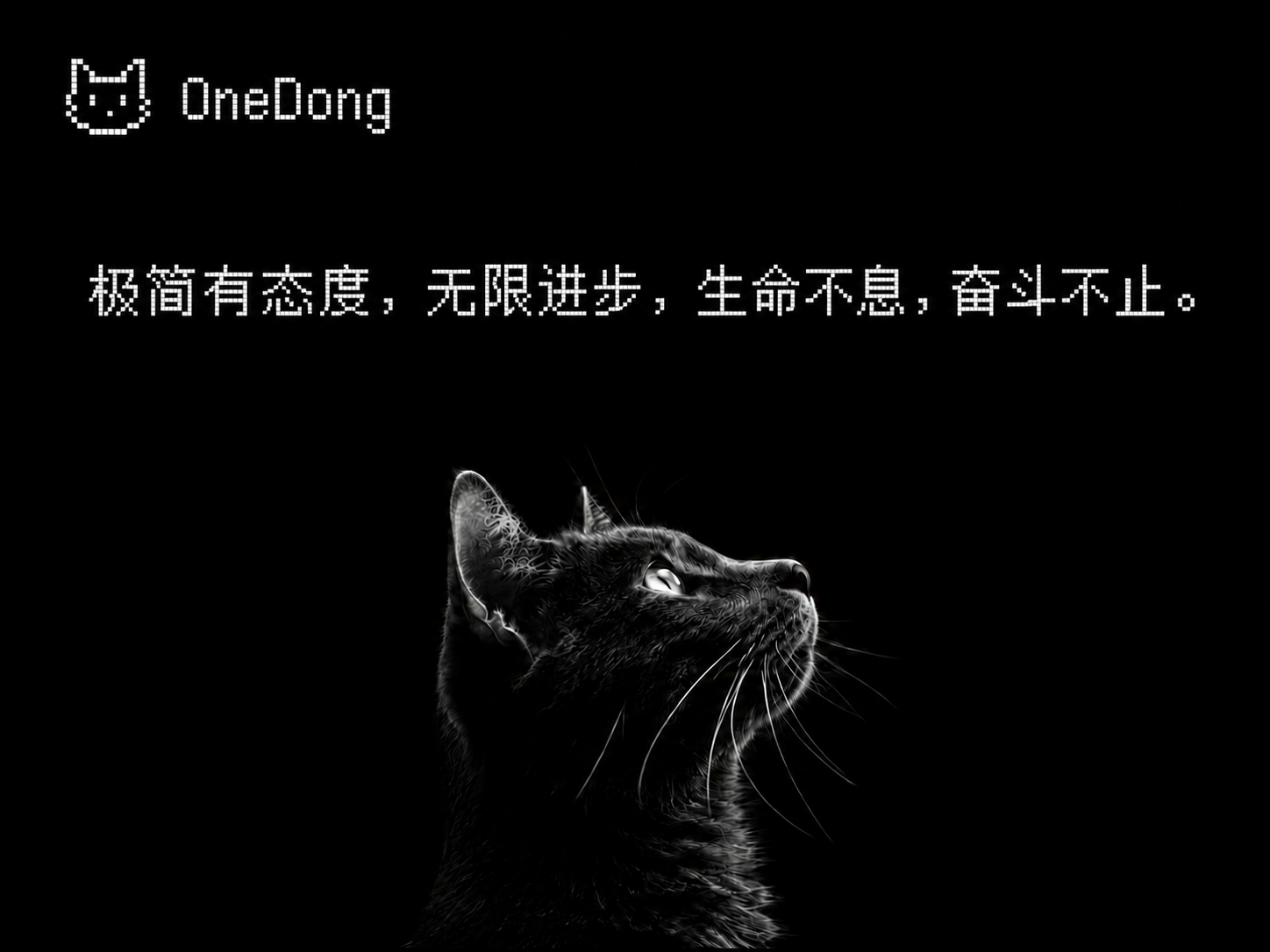 ONE·DONG主题